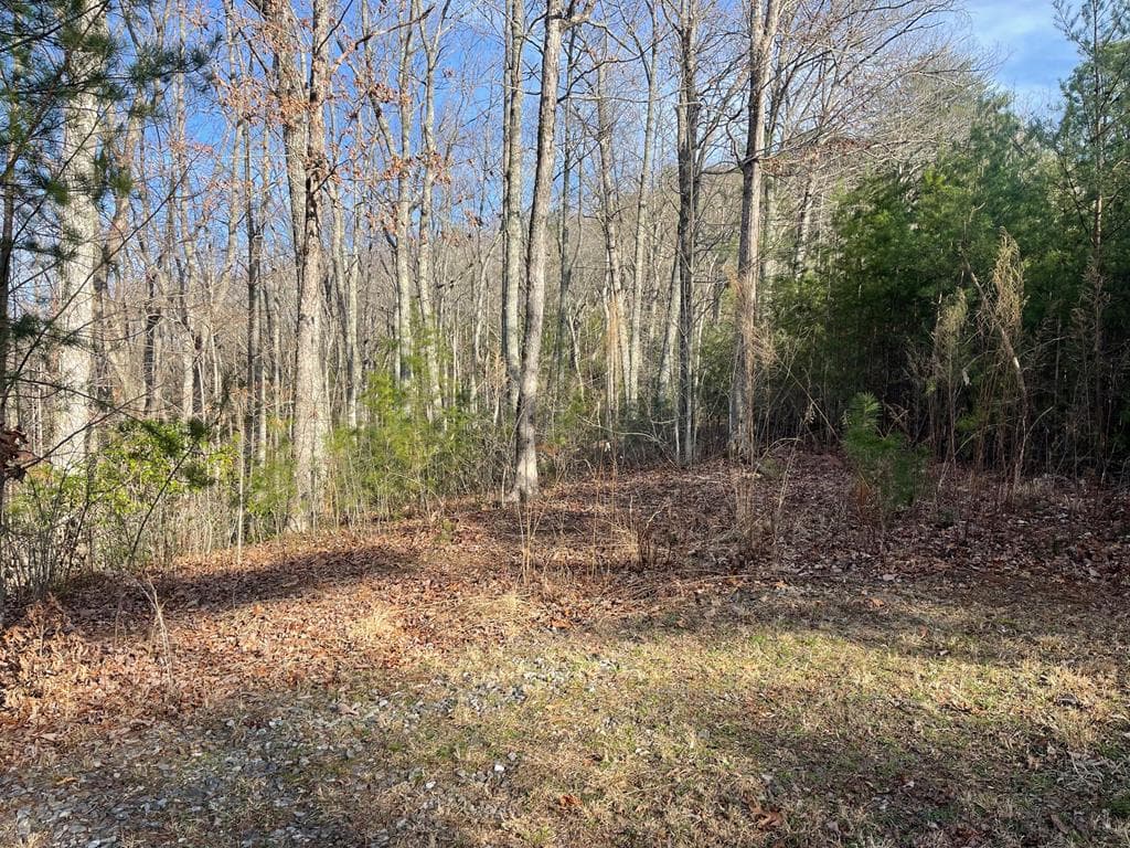 Lot 14 Big Cove Drive, Hiawassee GA 30546 - Photo
