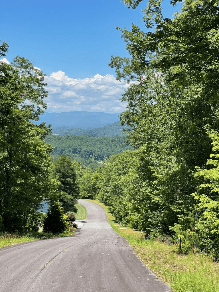 Lot 14 Big Cove Drive, Hiawassee GA 30546 - Photo