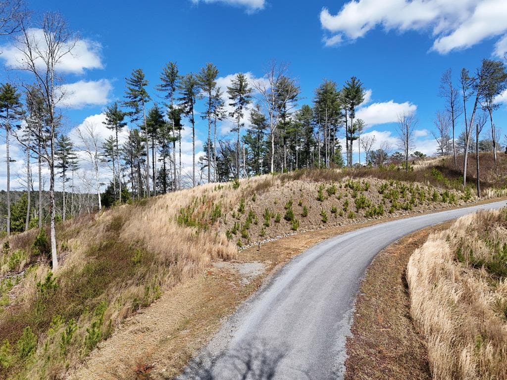 Lot 253 High River Crossing, Ellijay GA 30540 - Photo