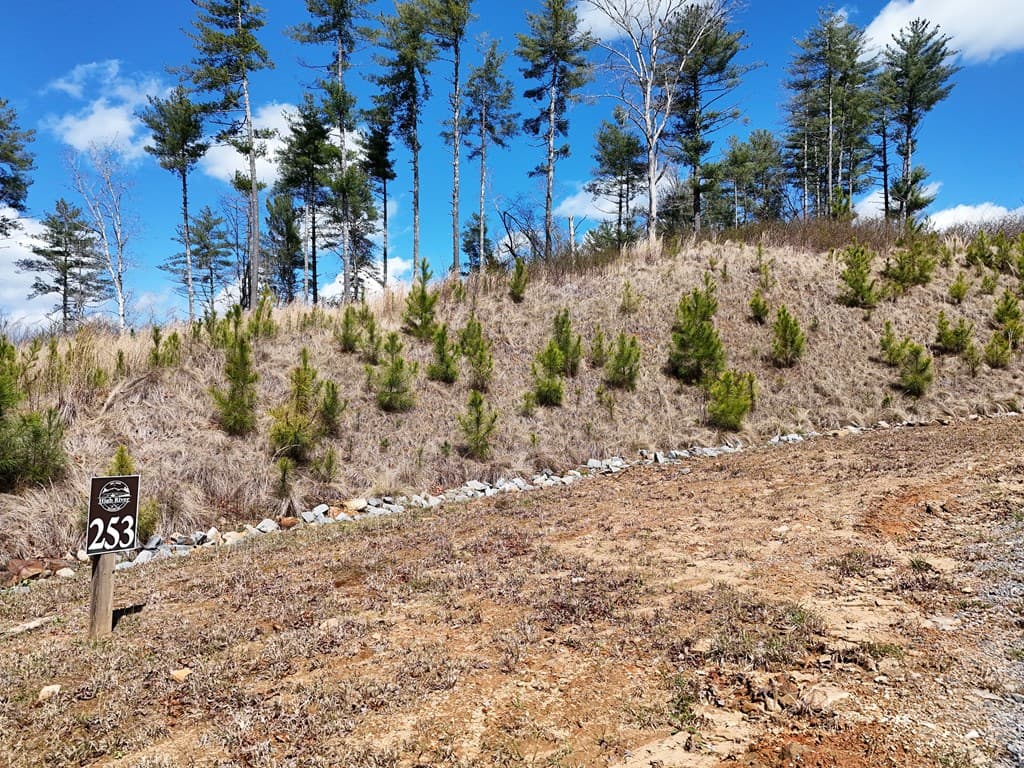 Lot 253 High River Crossing, Ellijay GA 30540 - Photo