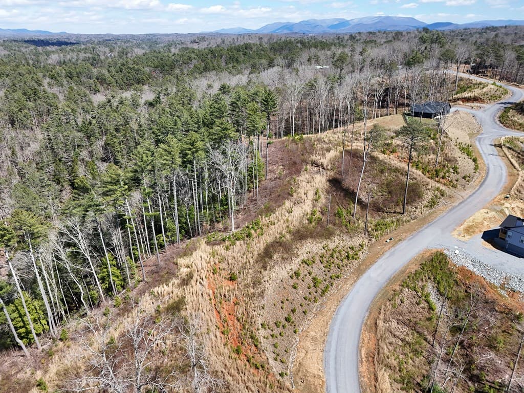 Lot 253 High River Crossing, Ellijay GA 30540 - Photo