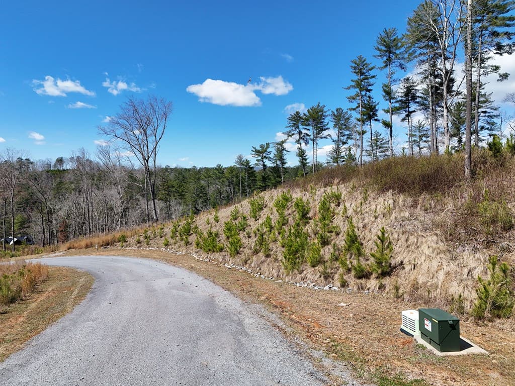 Lot 253 High River Crossing, Ellijay GA 30540 - Photo