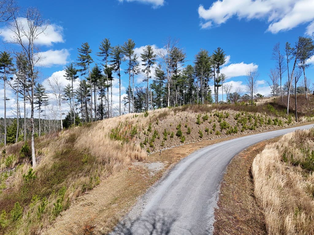 Lot 253 High River Crossing, Ellijay GA 30540 - Photo