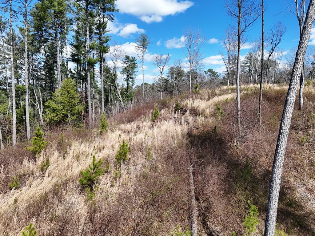 Lot 253 High River Crossing, Ellijay GA 30540 - Photo