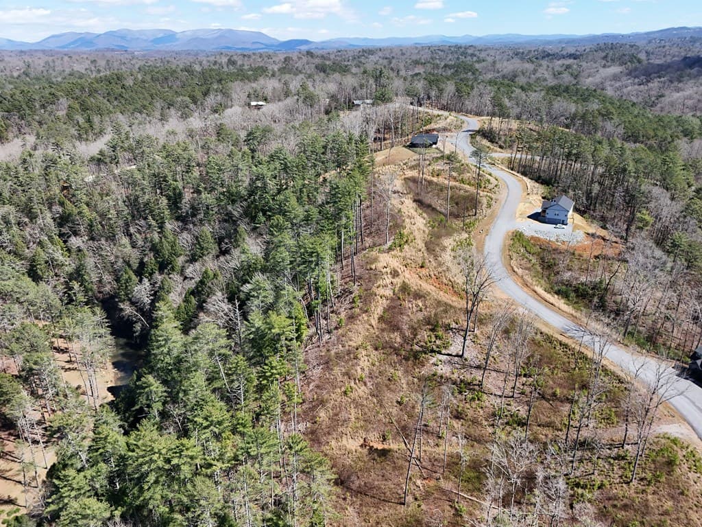 Lot 253 High River Crossing, Ellijay GA 30540 - Photo