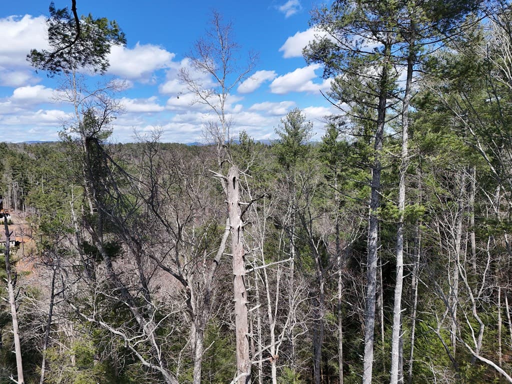 Lot 253 High River Crossing, Ellijay GA 30540 - Photo