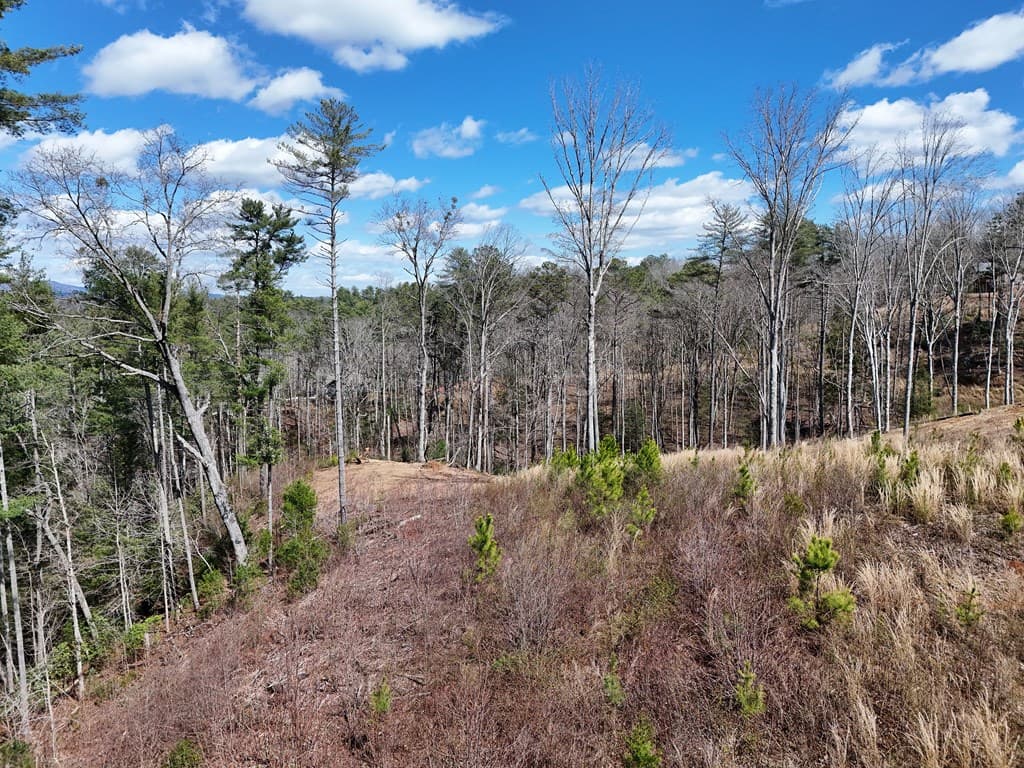 Lot 253 High River Crossing, Ellijay GA 30540 - Photo