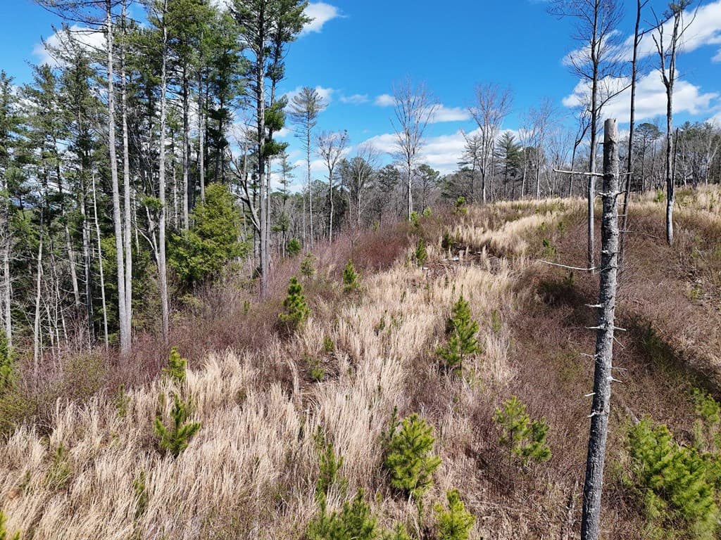Lot 253 High River Crossing, Ellijay GA 30540 - Photo