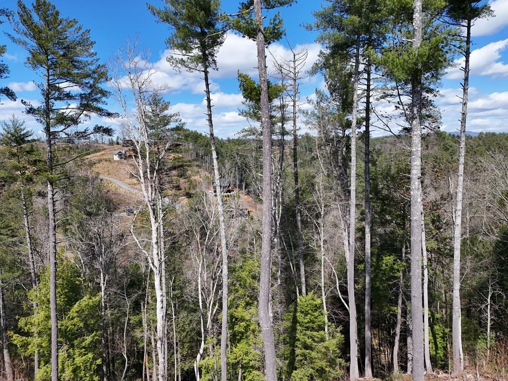 Lot 253 High River Crossing, Ellijay GA 30540 - Photo