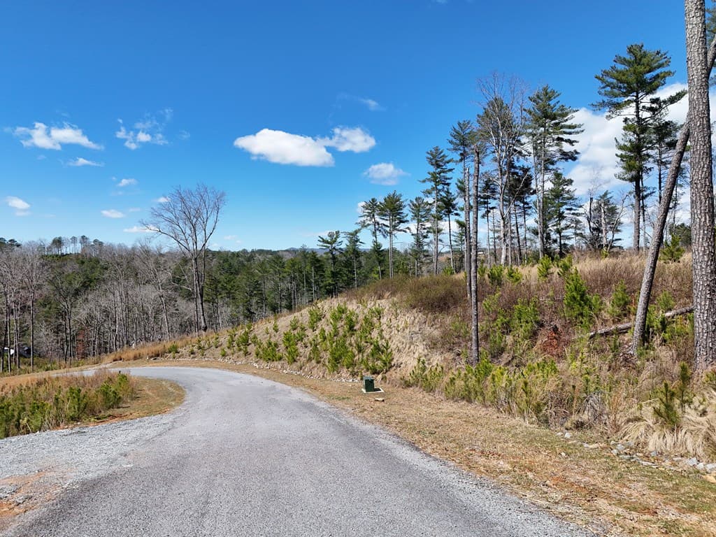 Lot 253 High River Crossing, Ellijay GA 30540 - Photo