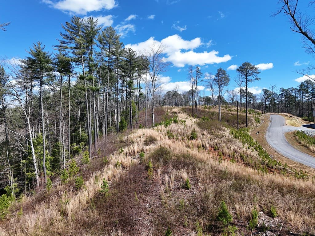 Lot 253 High River Crossing, Ellijay GA 30540 - Photo