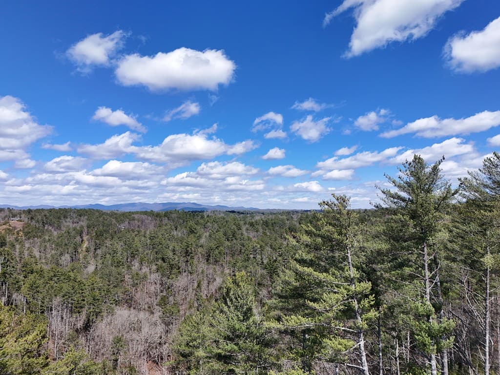 Lot 253 High River Crossing, Ellijay GA 30540 - Photo