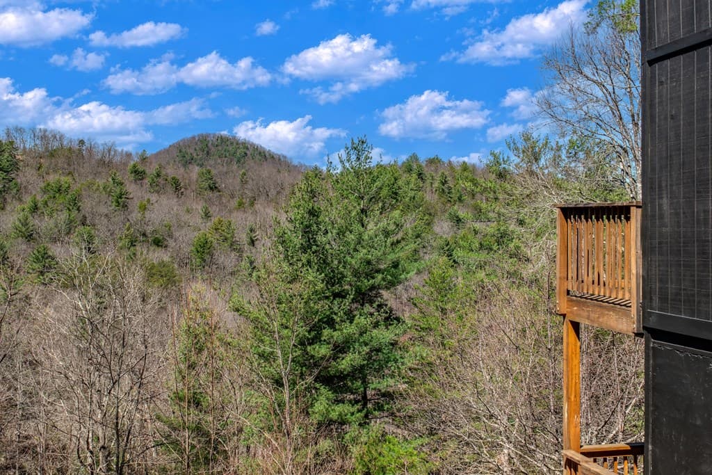 204 Fortenberry Creek Road, Blairsville GA 30512 - Photo
