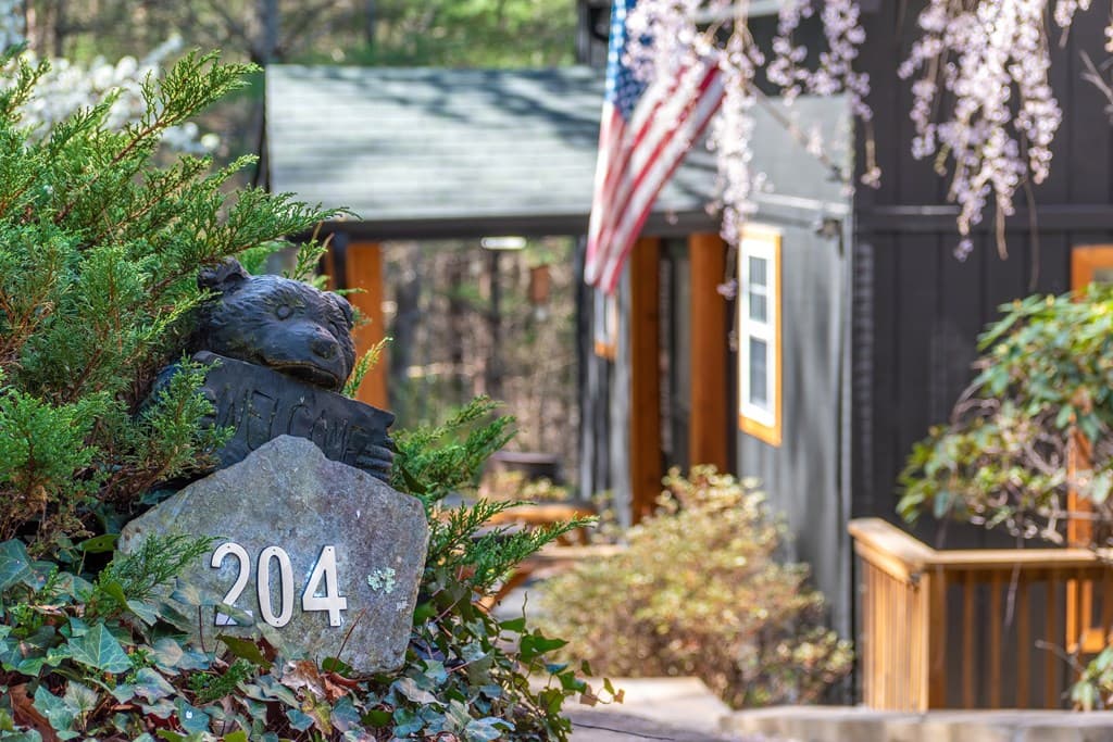 204 Fortenberry Creek Road, Blairsville GA 30512 - Photo