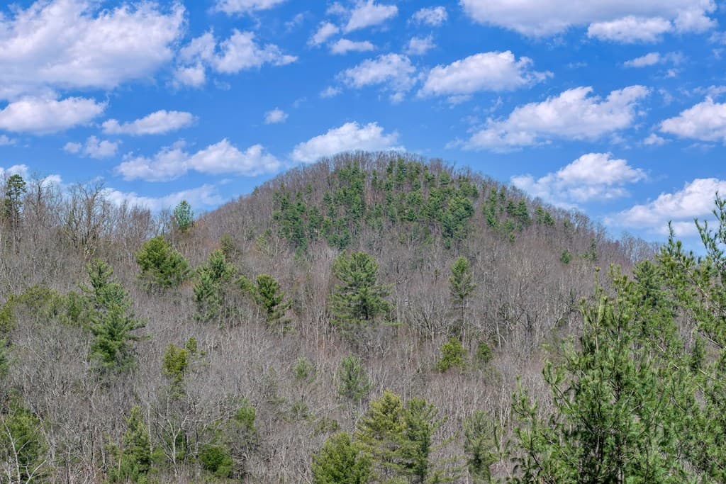 204 Fortenberry Creek Road, Blairsville GA 30512 - Photo