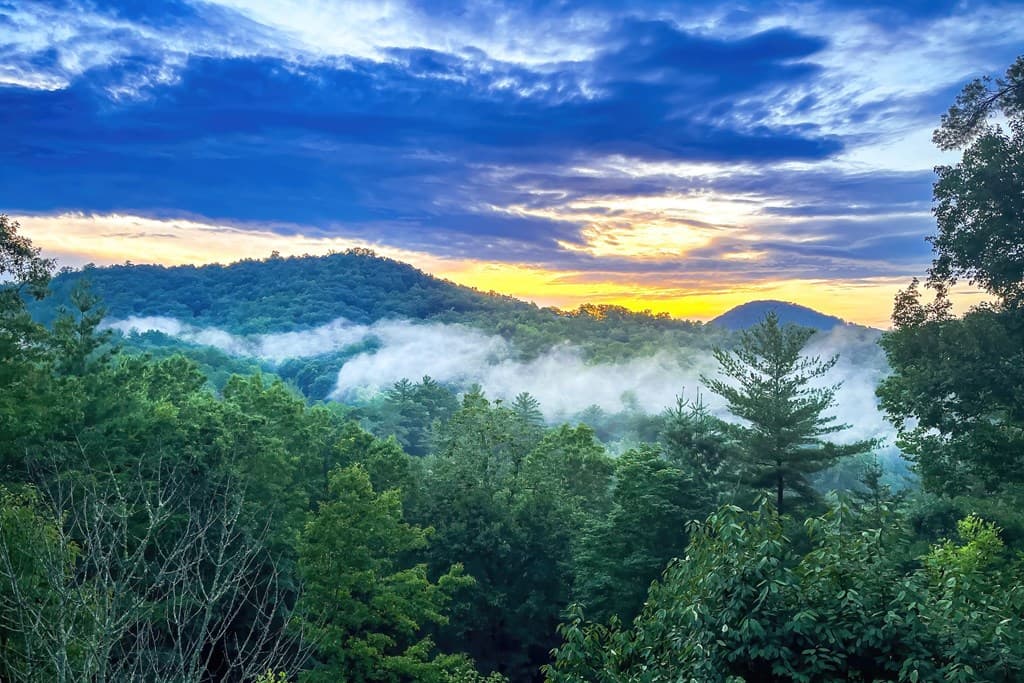 204 Fortenberry Creek Road, Blairsville GA 30512 - Photo