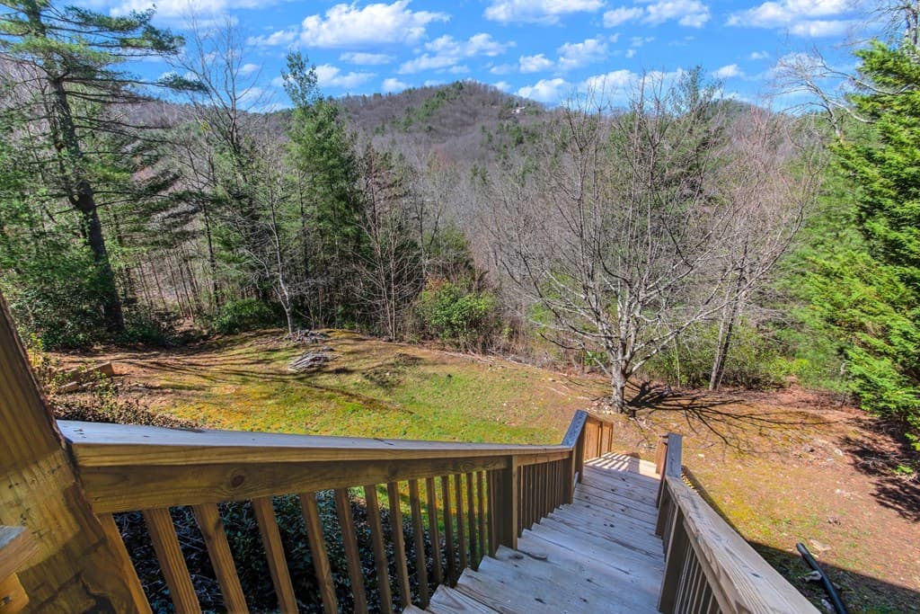 204 Fortenberry Creek Road, Blairsville GA 30512 - Photo