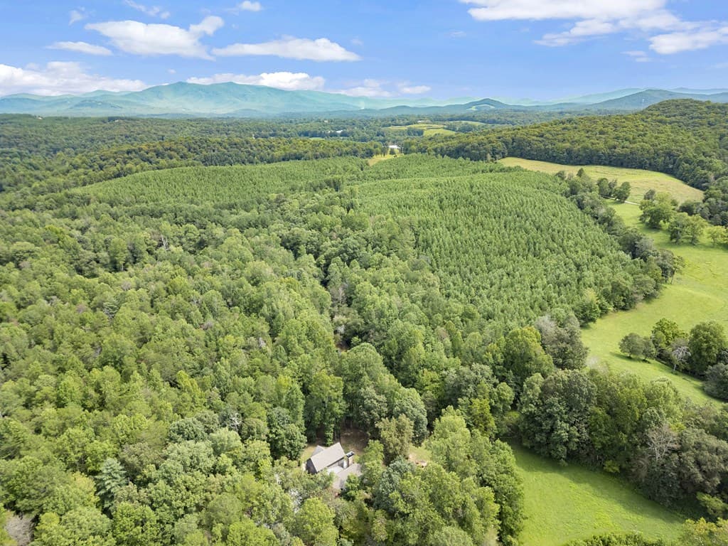 530 Burleson Road, Ellijay GA 30536 - Photo