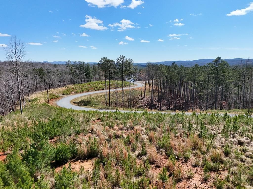 155 Shallow Water Trail, Talking Rock GA 30175 - Photo