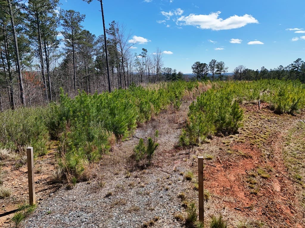 155 Shallow Water Trail, Talking Rock GA 30175 - Photo
