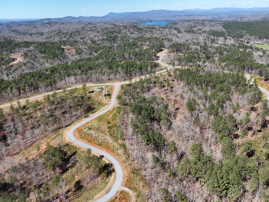 155 Shallow Water Trail, Talking Rock GA 30175 - Photo
