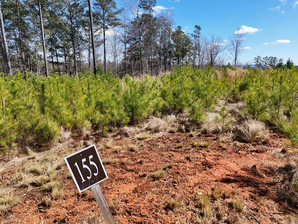 155 Shallow Water Trail, Talking Rock GA 30175 - Photo
