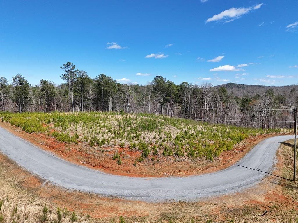 155 Shallow Water Trail, Talking Rock GA 30175 - Photo