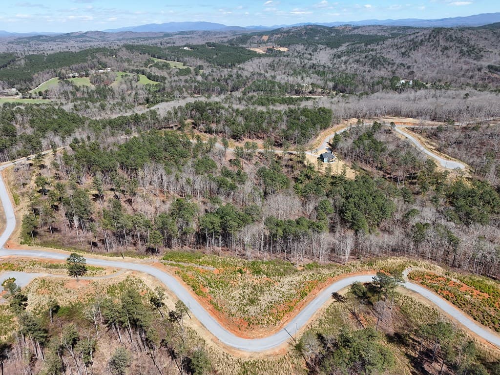 155 Shallow Water Trail, Talking Rock GA 30175 - Photo