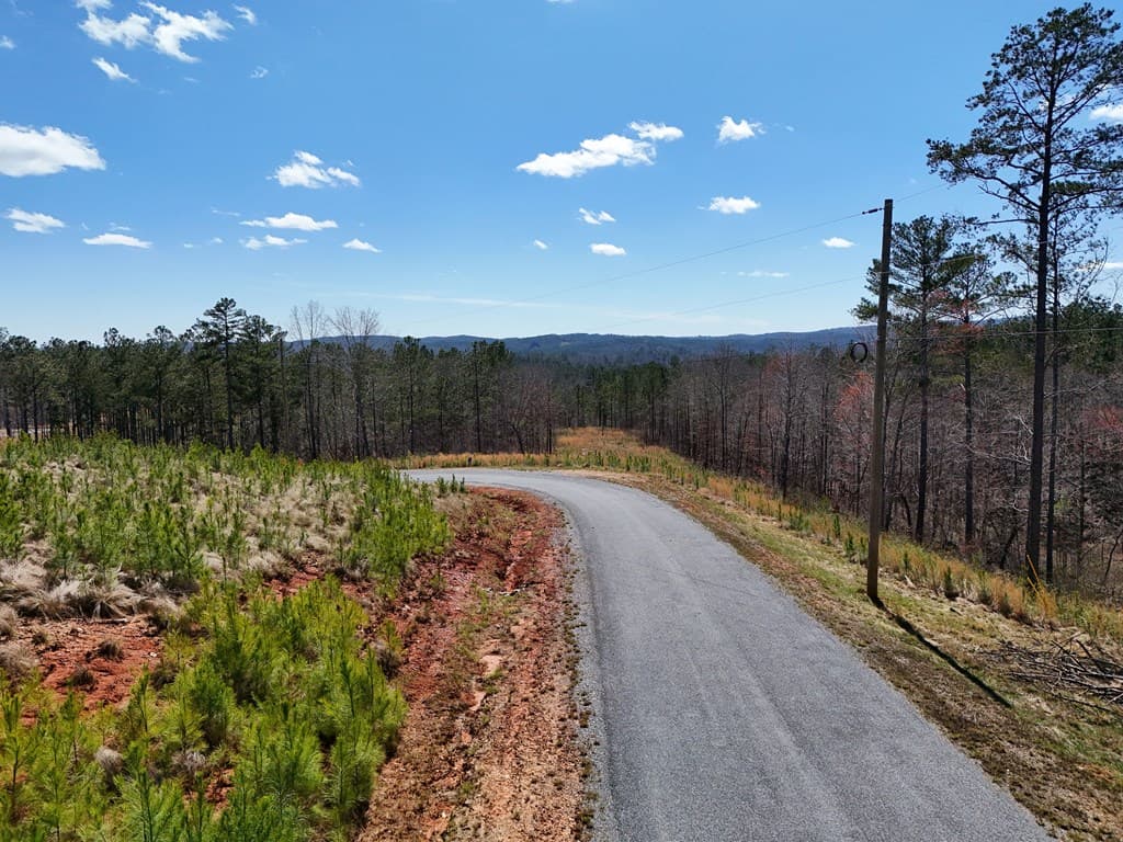 155 Shallow Water Trail, Talking Rock GA 30175 - Photo