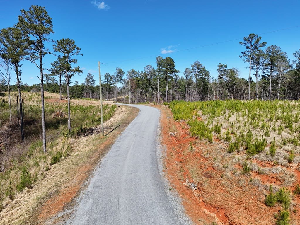 155 Shallow Water Trail, Talking Rock GA 30175 - Photo