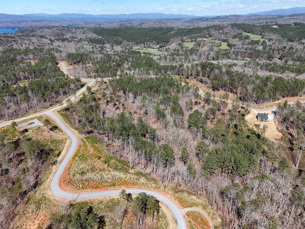 155 Shallow Water Trail, Talking Rock GA 30175 - Photo