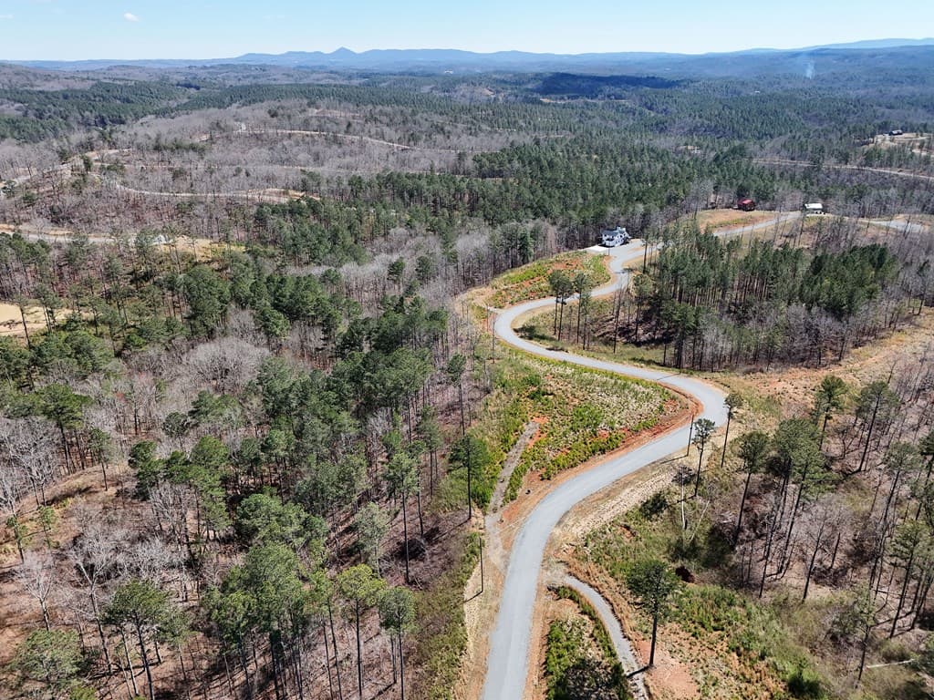 155 Shallow Water Trail, Talking Rock GA 30175 - Photo