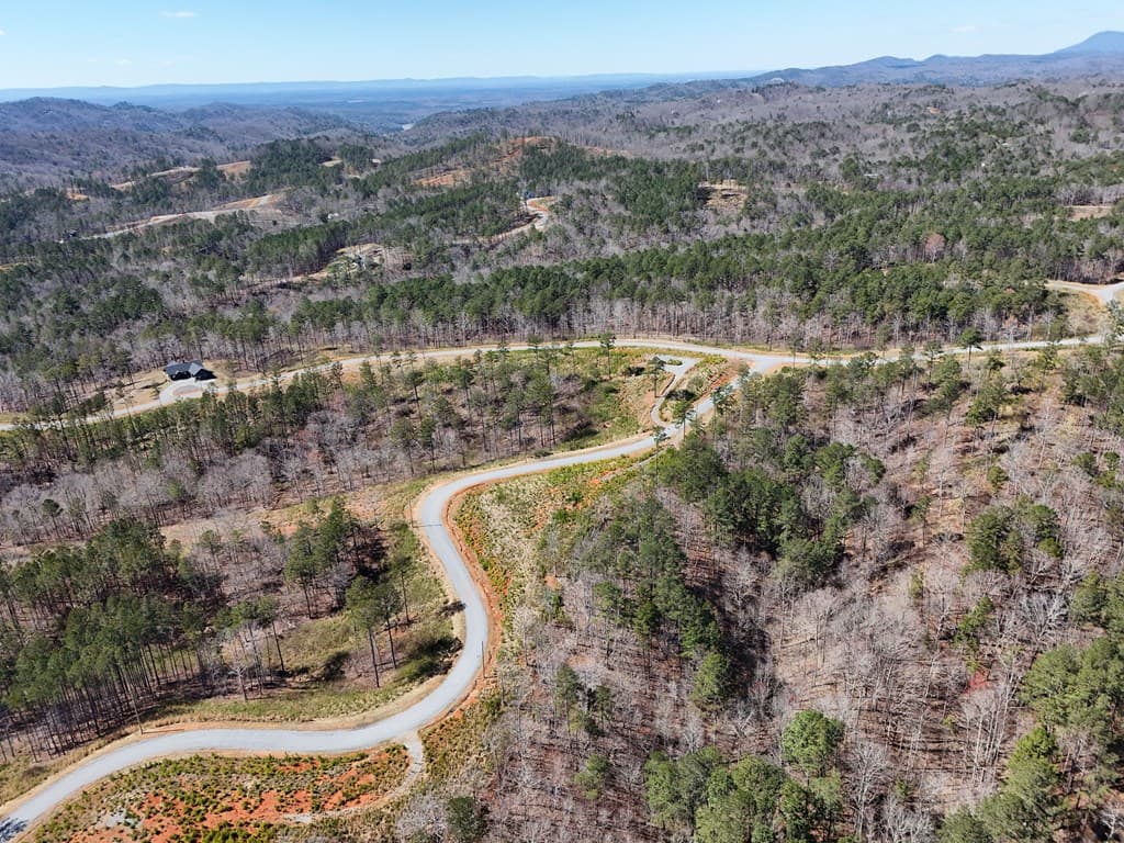 155 Shallow Water Trail, Talking Rock GA 30175 - Photo