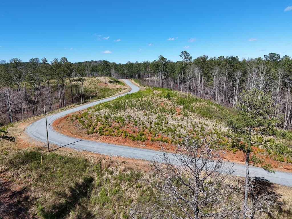 155 Shallow Water Trail, Talking Rock GA 30175 - Photo