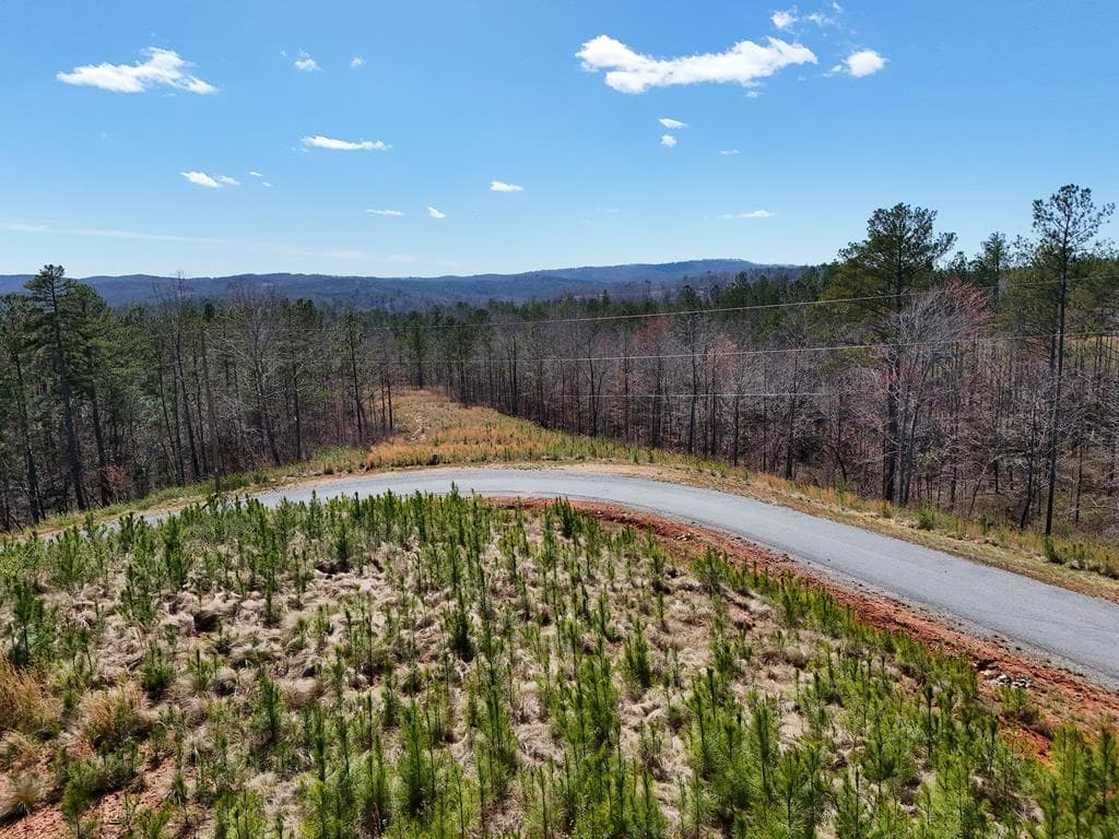 155 Shallow Water Trail, Talking Rock GA 30175 - Photo