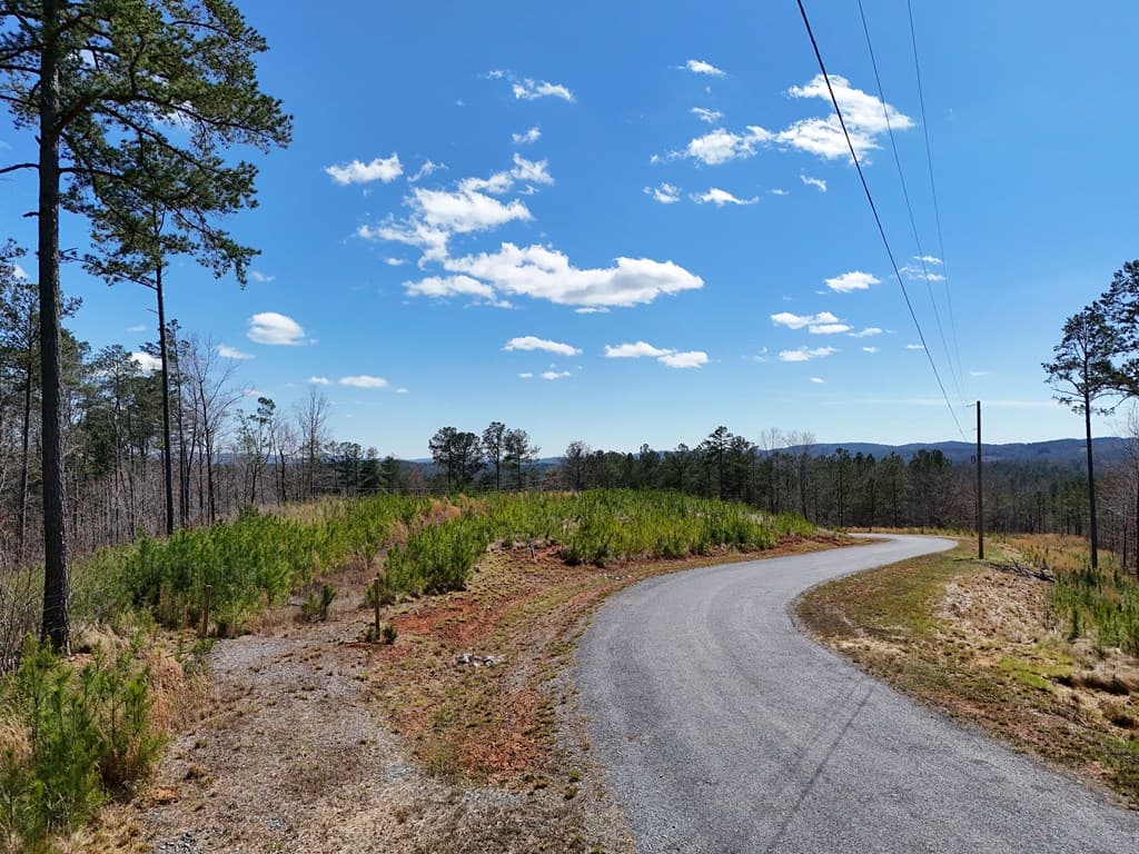 155 Shallow Water Trail, Talking Rock GA 30175 - Photo