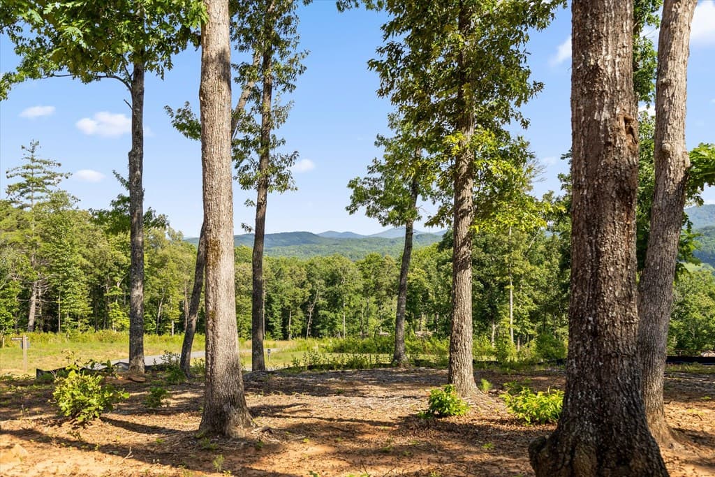Lot 85 Split Creek Road, Morganton GA 30560 - Photo