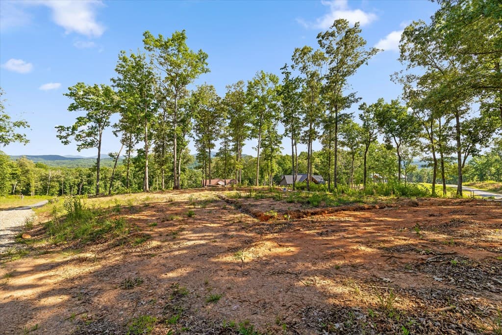 Lot 85 Split Creek Road, Morganton GA 30560 - Photo