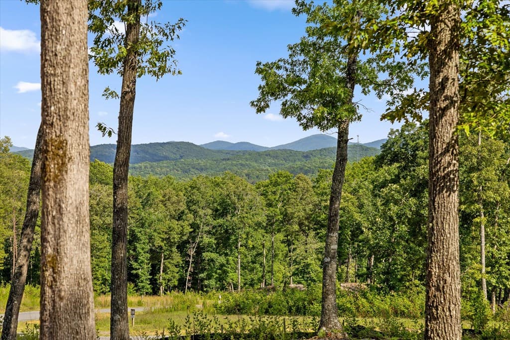 Lot 85 Split Creek Road, Morganton GA 30560 - Photo
