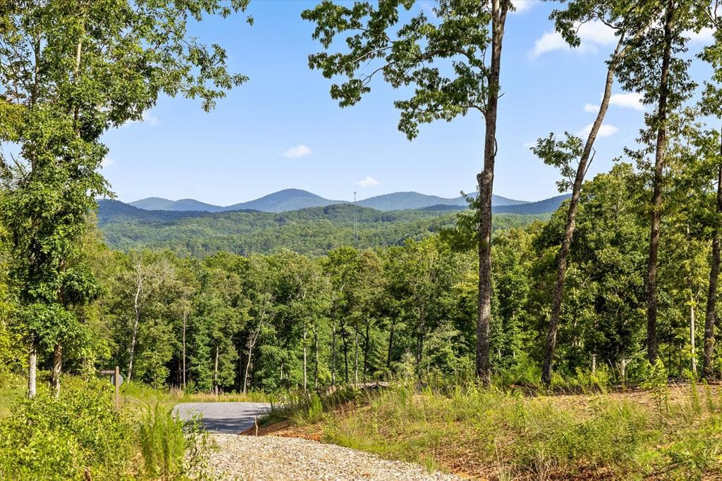 Lot 85 Split Creek Road, Morganton GA 30560 - Primary photo