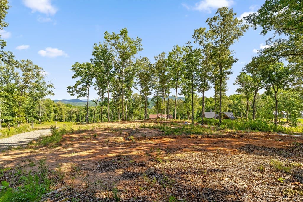 Lot 85 Split Creek Road, Morganton GA 30560 - Photo