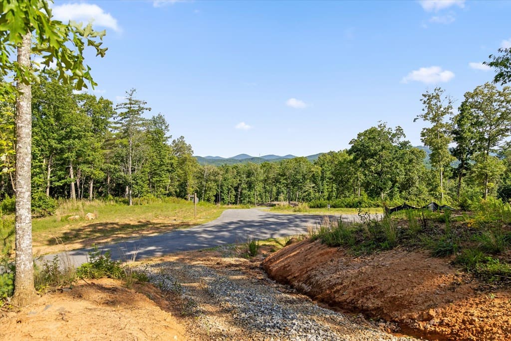 Lot 85 Split Creek Road, Morganton GA 30560 - Photo