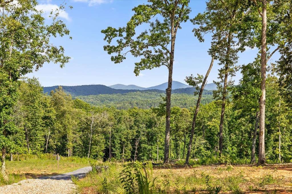 Lot 85 Split Creek Road, Morganton GA 30560 - Photo
