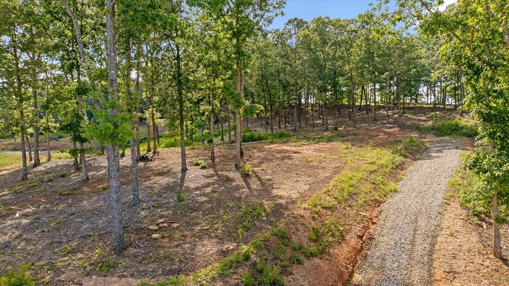 Lot 85 Split Creek Road, Morganton GA 30560 - Photo