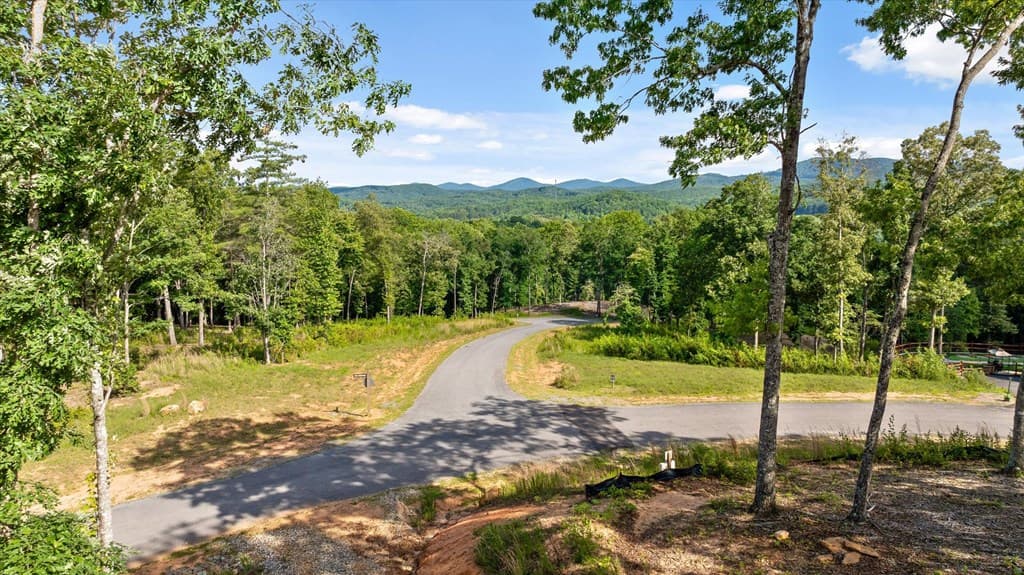 Lot 85 Split Creek Road, Morganton GA 30560 - Photo