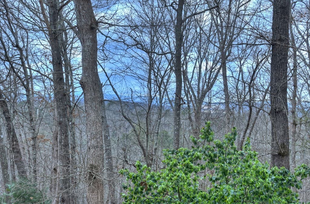 788 Lake Forest Drive, Blue Ridge GA 30513 - Photo