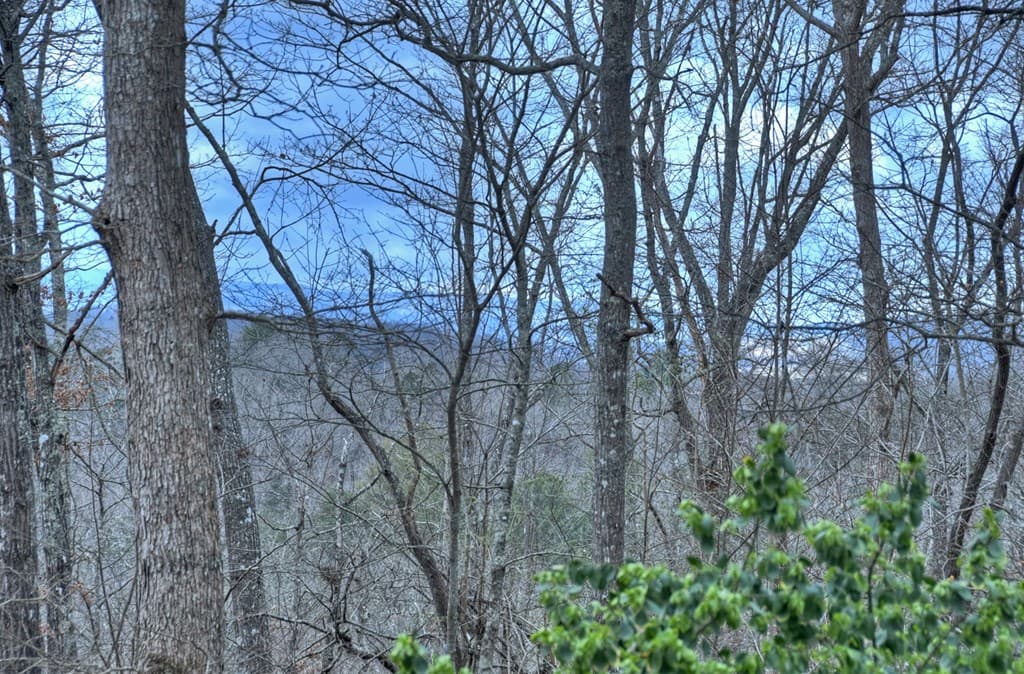 788 Lake Forest Drive, Blue Ridge GA 30513 - Photo