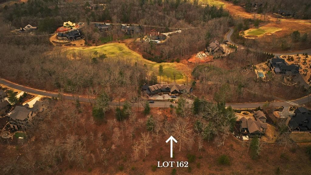 LT 162 Hickory Way, Mineral Bluff GA 30559 - Photo