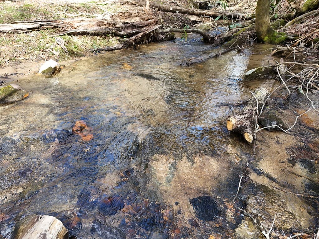 Lot 44A Synacia Drive, Mineral Bluff GA 30559 - Photo