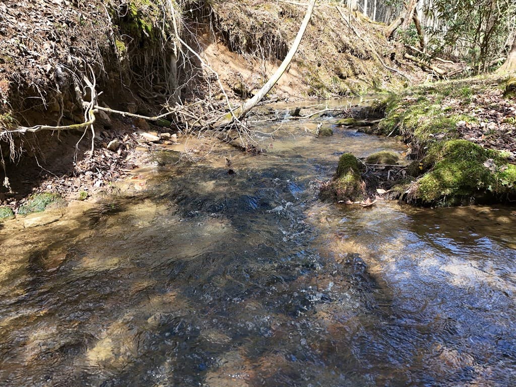 Lot 44A Synacia Drive, Mineral Bluff GA 30559 - Photo